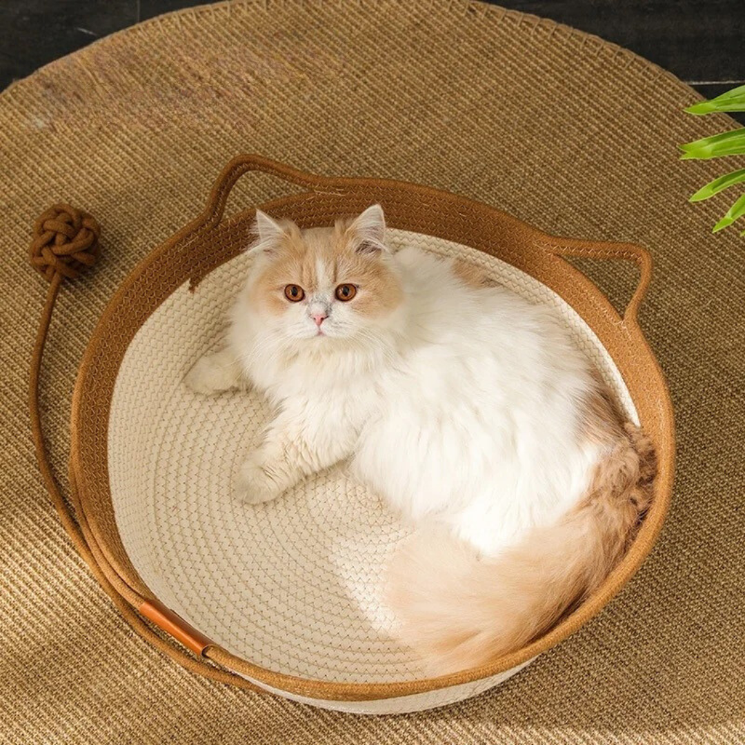 KatzenKnus Bett – Stilvoll & Bequem für dein geliebtes Haustier