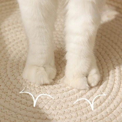 KatzenKnus Bett – Stilvoll & Bequem für dein geliebtes Haustier
