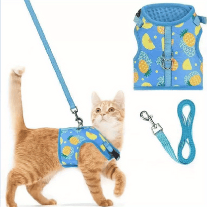 KittyComfort Geschirr Set – Für gemütliche Spaziergänge und Abenteuer