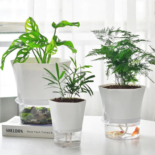 PlantTank - Smarter Blumentopf und Mini-Aquarium in Einem