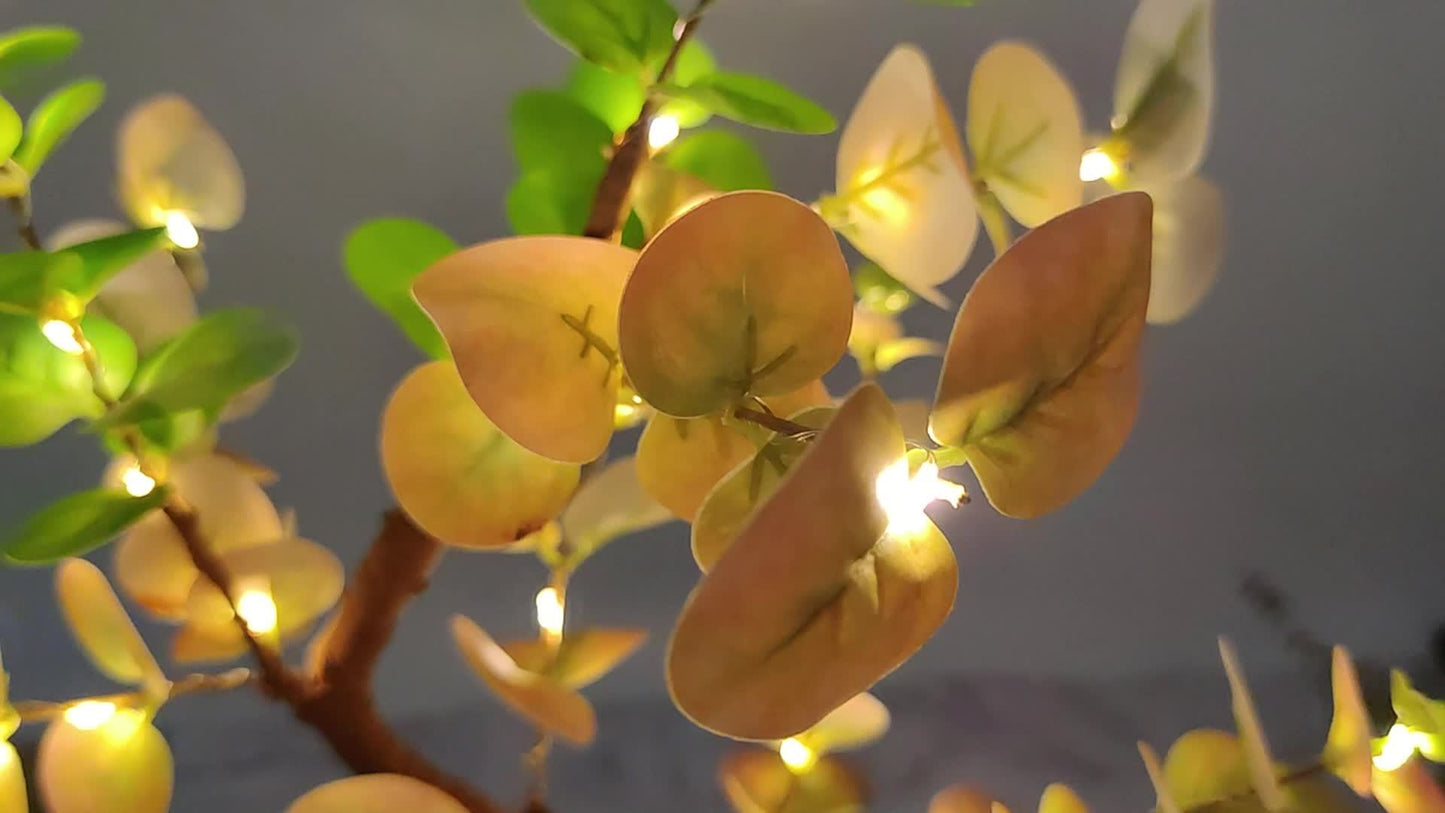 Sereen Eukalyptusbaum Lampe – Für Beruhigende Beleuchtung und Natürliche Ästhetik