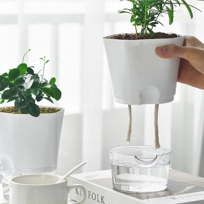 PlantTank - Smarter Blumentopf und Mini-Aquarium in Einem