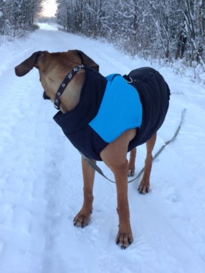 LunaPaws Hundejacke - Warm & Wasserdicht