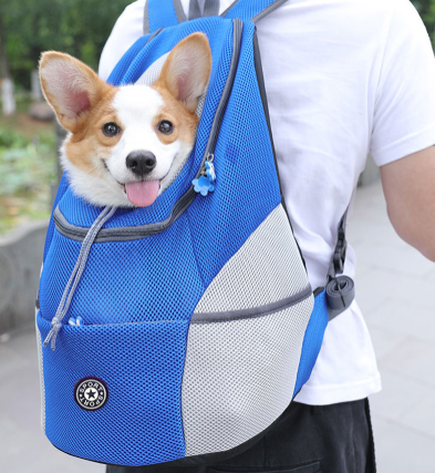 PetAdventure Rucksack – Bequem & Praktisch