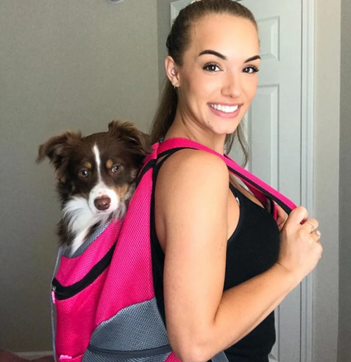 PetAdventure Rucksack – Bequem & Praktisch