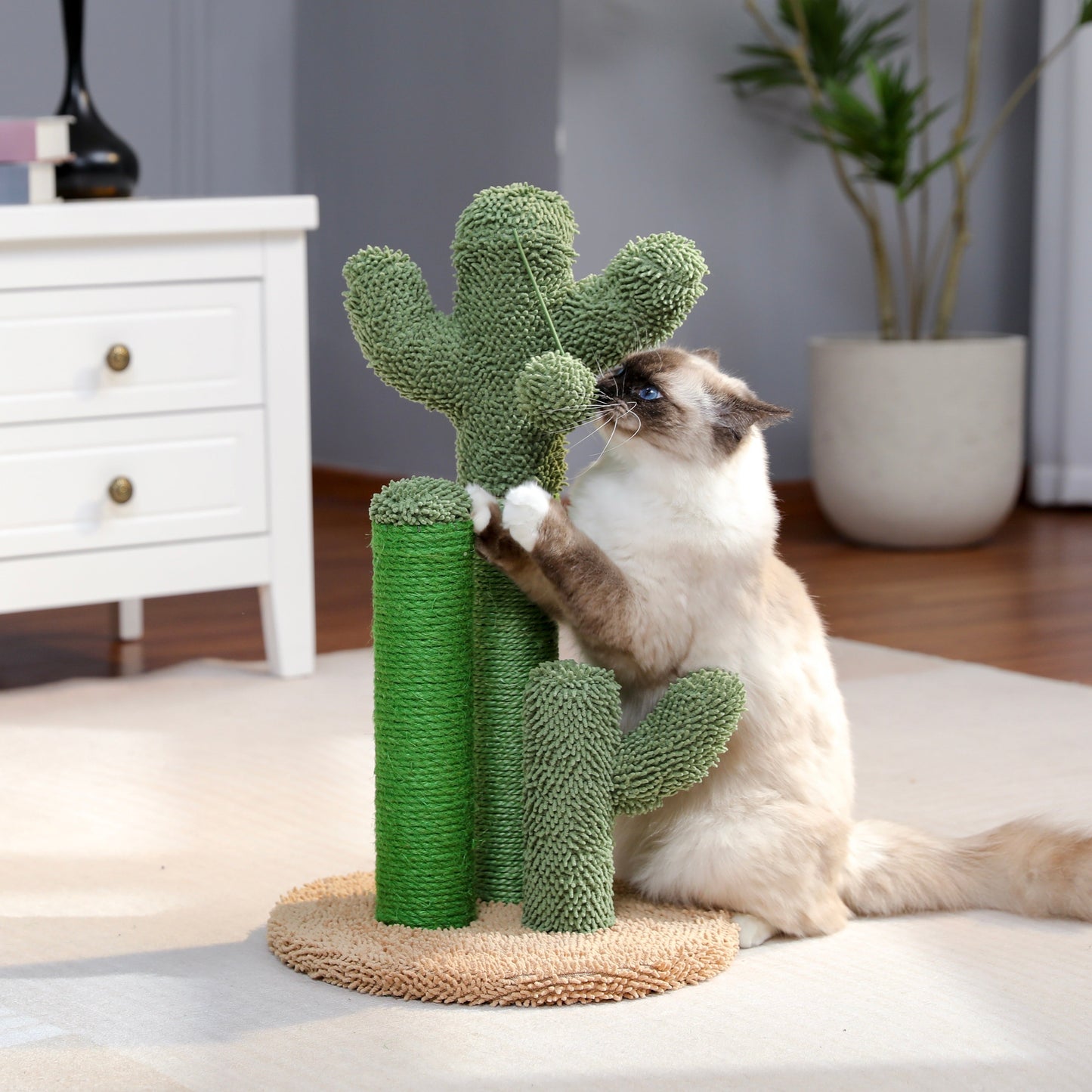 Katzen Kratzkaktus – Spielerisch und Funktionell für Deine Katze