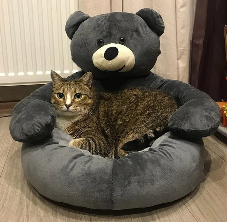 TeddyBear Katzenbett - Für Ultimativen Komfort und Gemütlichkeit