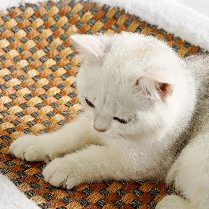 KatzenComfort Bett – Trendig & Bequem für dein geliebtes Haustier