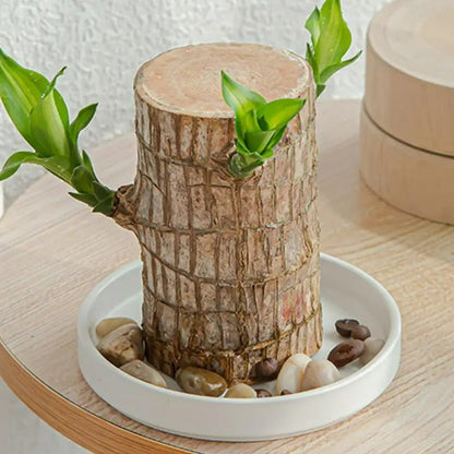 Pflanzenschale mit dekorativem Baum