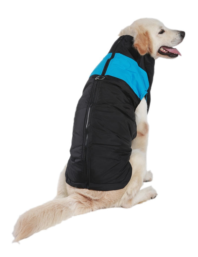 LunaPaws Hundejacke - Warm & Wasserdicht