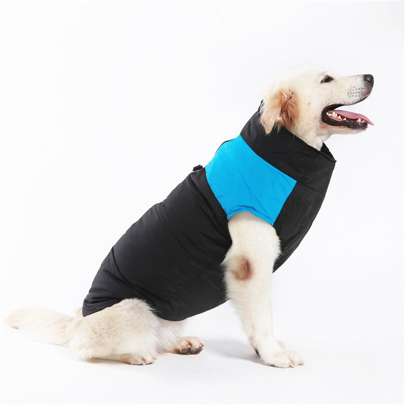 LunaPaws Hundejacke - Warm & Wasserdicht