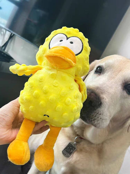 Rocky der Kaubär – Für verspielte Kausmomente