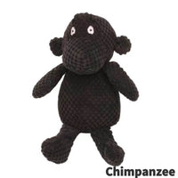 Schimpanse